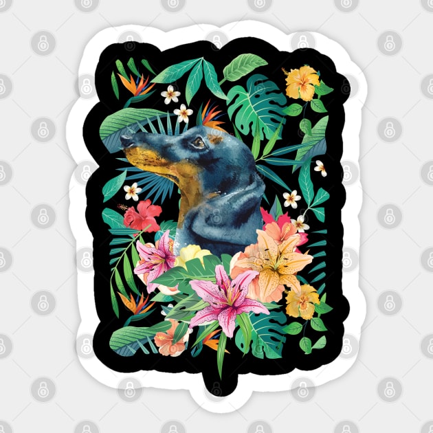 Tropical Black Tan Dachshund Doxie 2 Sticker by LulululuPainting